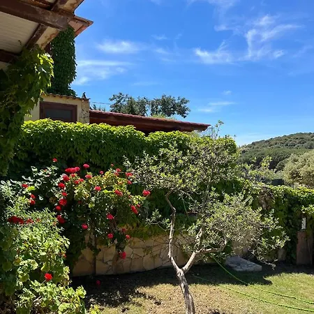 Holiday home Casa Stewart - Ponente